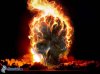 [images.4ever.eu] crane, feu, mort, explosion 145455.jpg